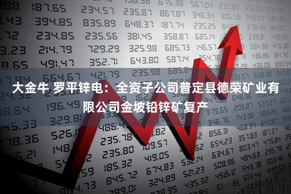 大金牛 罗平锌电：全资子公司普定县德荣矿业有限公司金坡铅锌矿复产