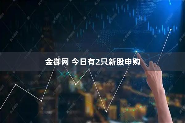 金御网 今日有2只新股申购