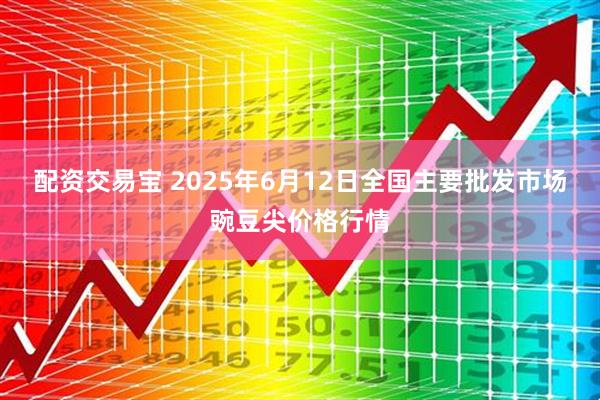 配资交易宝 2025年6月12日全国主要批发市场豌豆尖价格行情