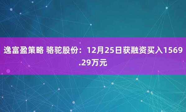 逸富盈策略 骆驼股份：12月25日获融资买入1569.29万元