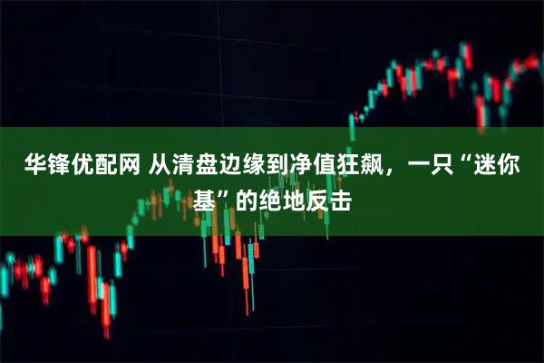 华锋优配网 从清盘边缘到净值狂飙，一只“迷你基”的绝地反击